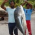 <!--:en-->Fishing<!--:--><!--:it-->Pesca<!--:--> 8