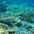 PICT0384