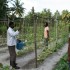<!--:en-->Maldives<!--:--><!--:it-->Maldive<!--:--> 1