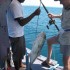 thinadhoo 2011 184